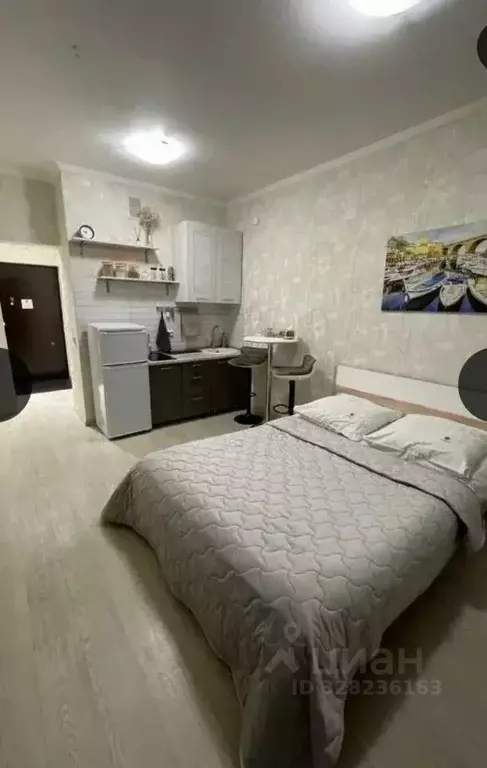 Студия Иркутская область, Иркутск ул. Гоголя, 80 (28.0 м) - Фото 1