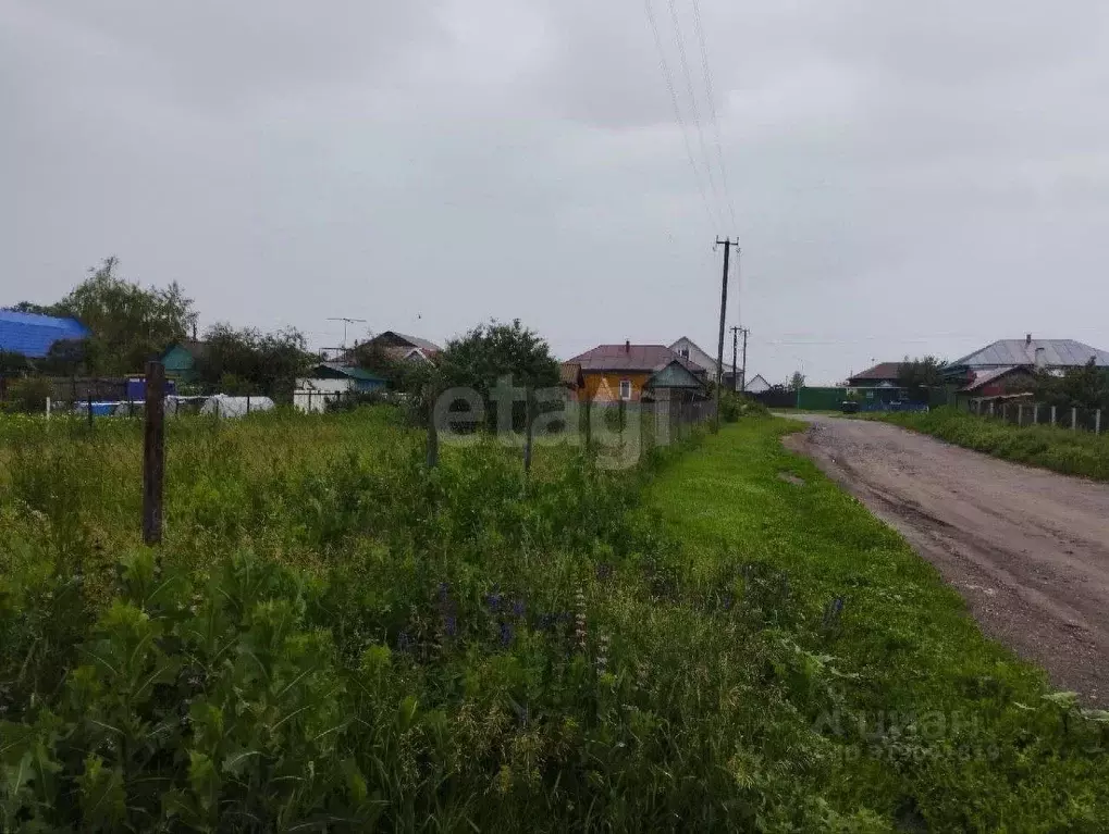 Участок в Саратовская область, Балашовский район, Хоперское ... - Фото 0