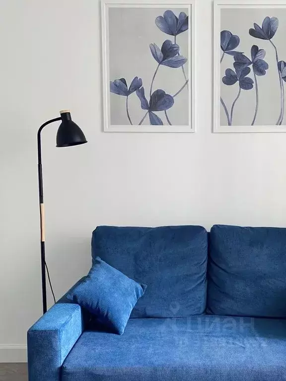 Студия Санкт-Петербург ул. Плесецкая, 10 (25.0 м) - Фото 1