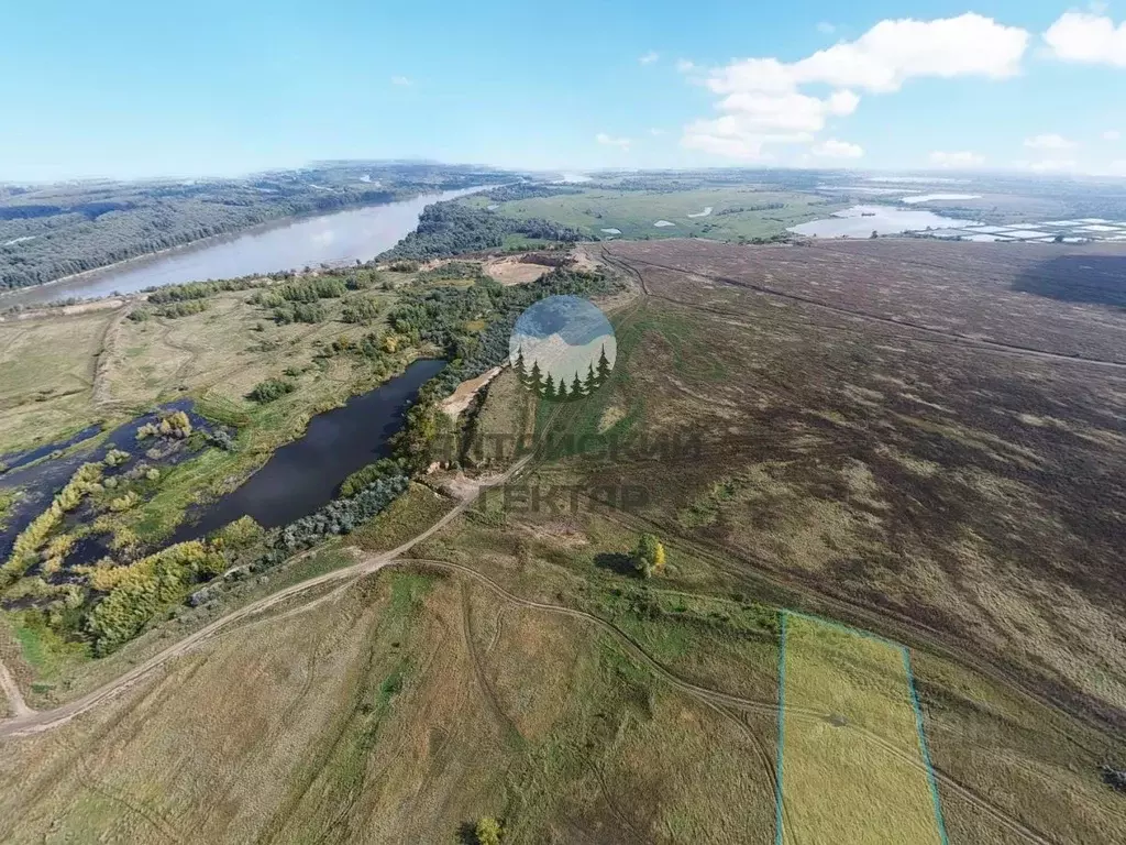 Участок в Алтайский край, Барнаул городской округ, Поселок Казенная ... - Фото 1