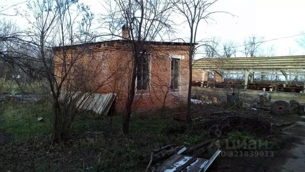 Участок в Краснодарский край, Динская ст-ца ул. Хлеборобная, 50А ... - Фото 2