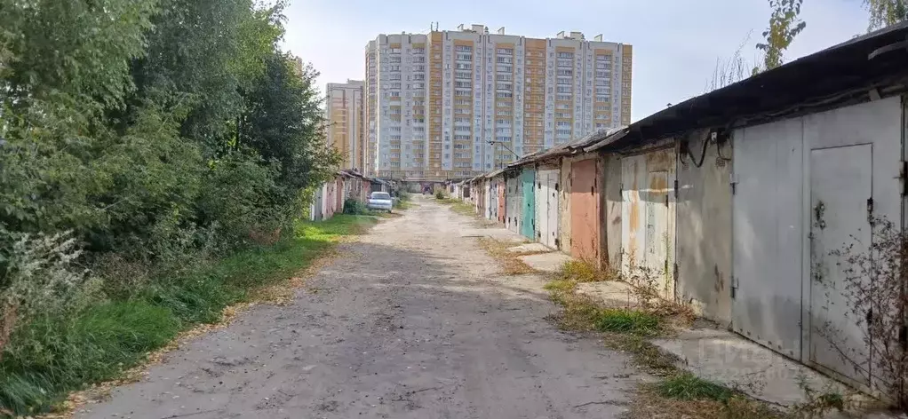 Гараж в Тамбовская область, Тамбов Магистральная ул., 37Д (21 м) - Фото 1