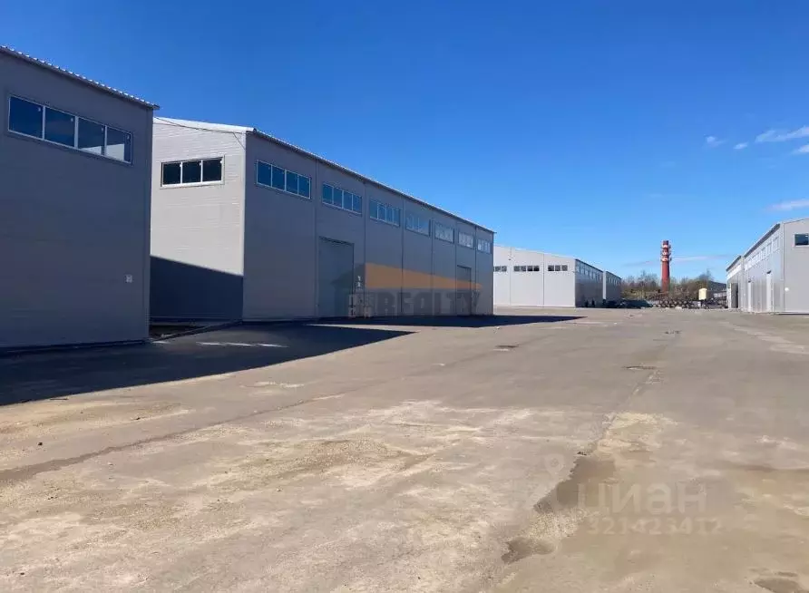 Склад в Московская область, Пушкинский городской округ, д. ... - Фото 2