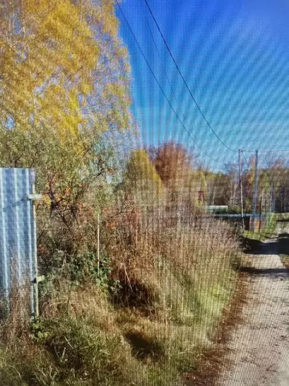 Участок в Новосибирская область, Бердск Марьин Лог СНТ, ул. 31-я, 1 ... - Фото 1