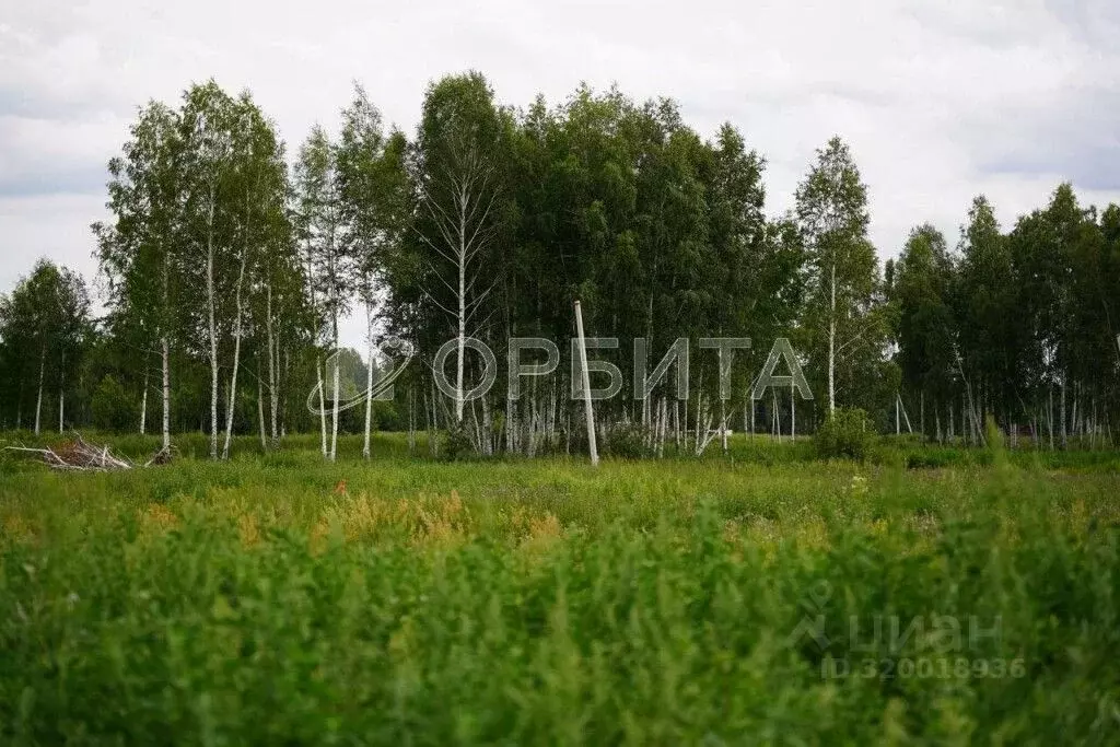 Участок в Тюменская область, Нижнетавдинский район, Геолог-2 СНТ  (7.0 ... - Фото 0