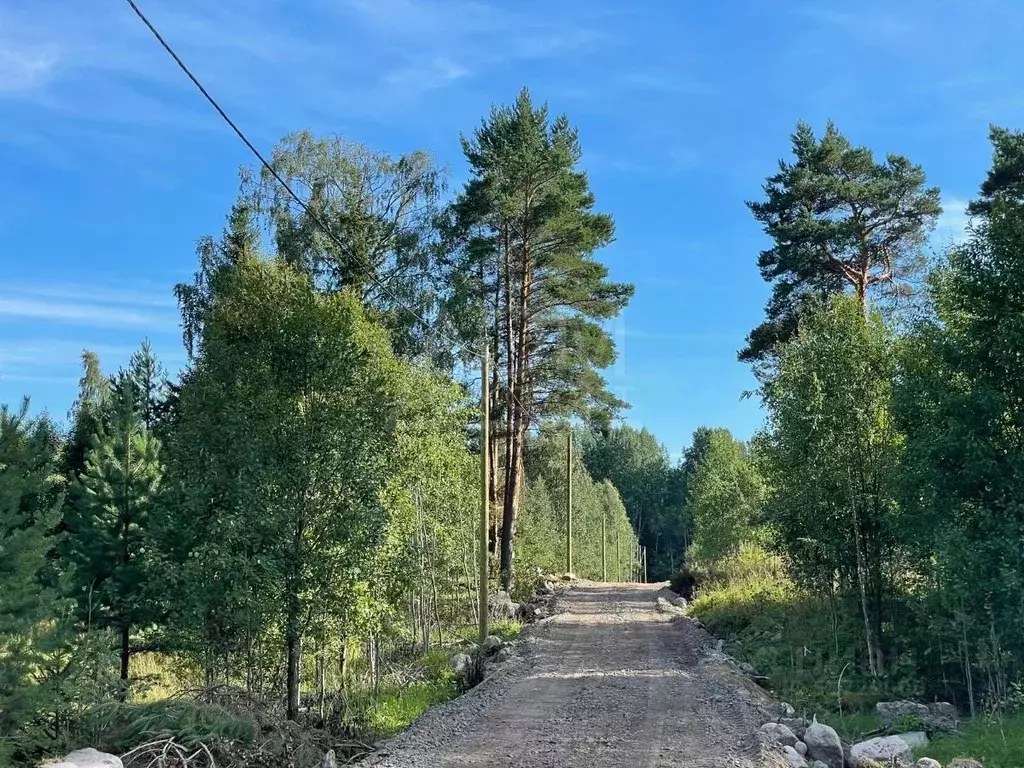 Участок в Ленинградская область, Приозерское городское поселение, пос. ... - Фото 0