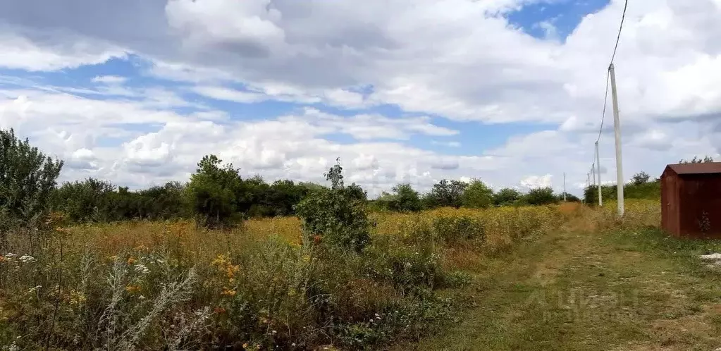 Участок в Белгородская область, Белгородский район, Комсомольское ... - Фото 0