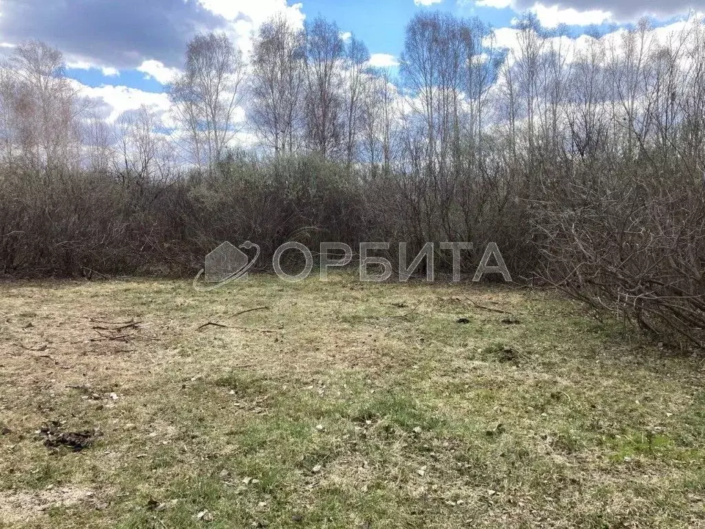 Участок в Тюменская область, Нижнетавдинский район, Геолог-2 СНТ 5-я ... - Фото 0