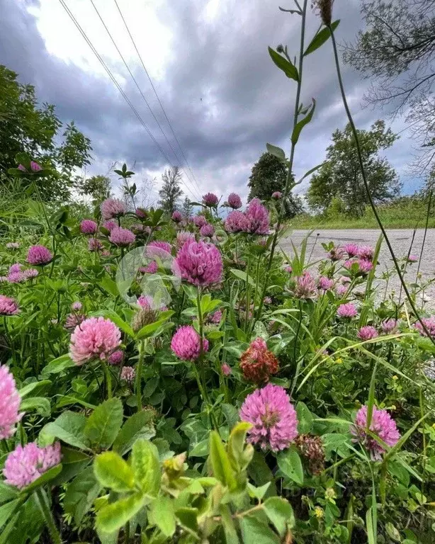 Участок в Пермский край, Пермский муниципальный округ, д. Большое ... - Фото 1