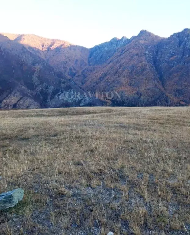 Участок в Алтай, Онгудайский район, с. Инегень Центральная ул., 15 ... - Фото 1