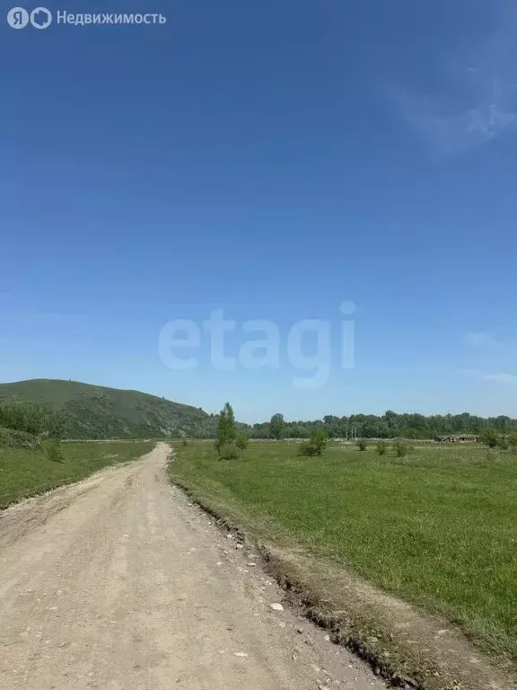 Участок в Алтайский район, Айский сельсовет, село Ая (160 м) - Фото 1