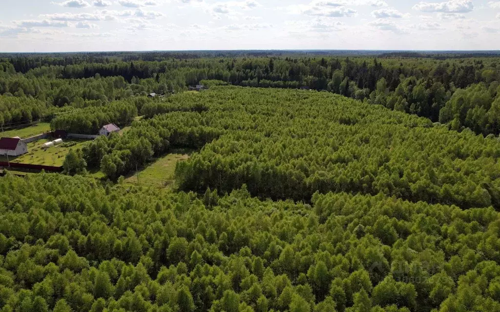 Участок в Московская область, Можайский городской округ, Лесные ... - Фото 1