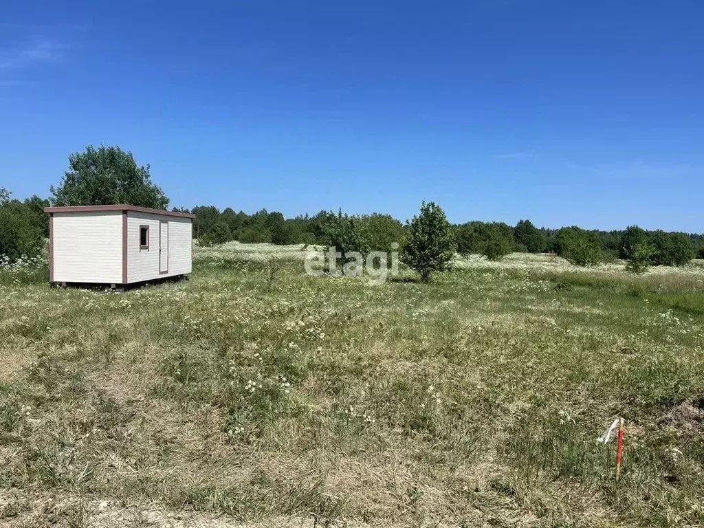 Участок в Ленинградская область, Гатчинский район, д. Ляды 34 (7.5 ... - Фото 0