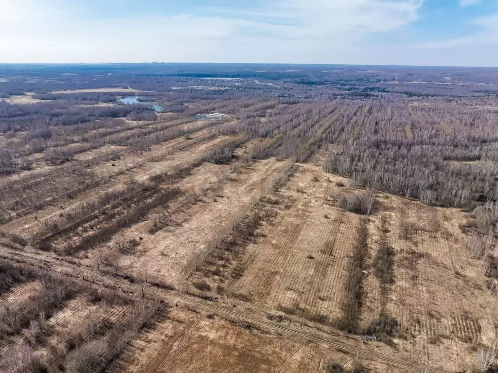 Участок в Новосибирская область, Новосибирский район, Березовский ... - Фото 2