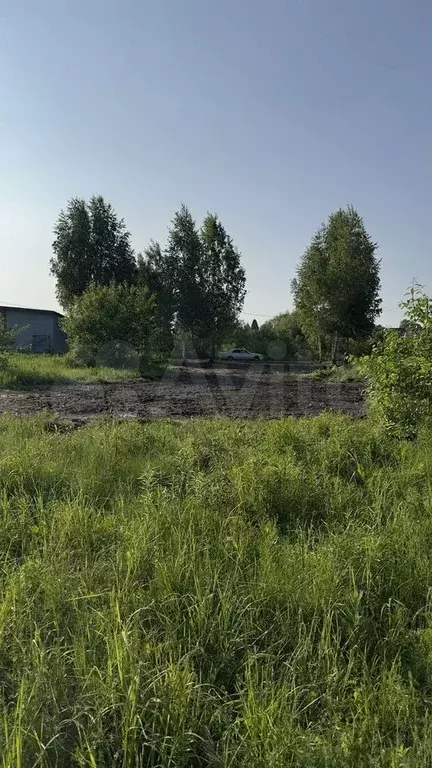 Участок 10 сот. (СНТ, ДНП) - Фото 0