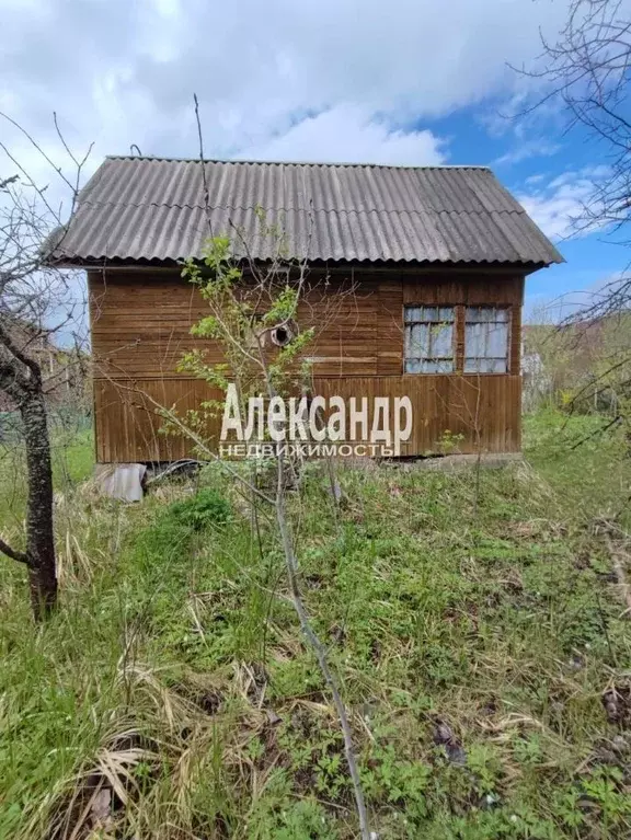 Участок в Ленинградская область, Лужский район, Мшинское с/пос, ... - Фото 0