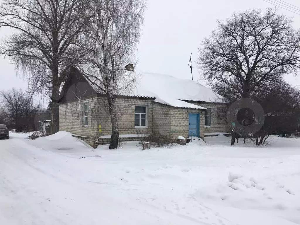 Помещение в Курской обл - Фото 0