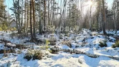 Участок в Московская область, Богородский городской округ, с. Кудиново ... - Фото 1