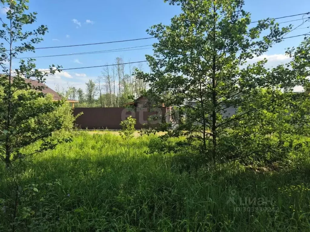 Участок в Московская область, Богородский городской округ, Колонтаево ... - Фото 0