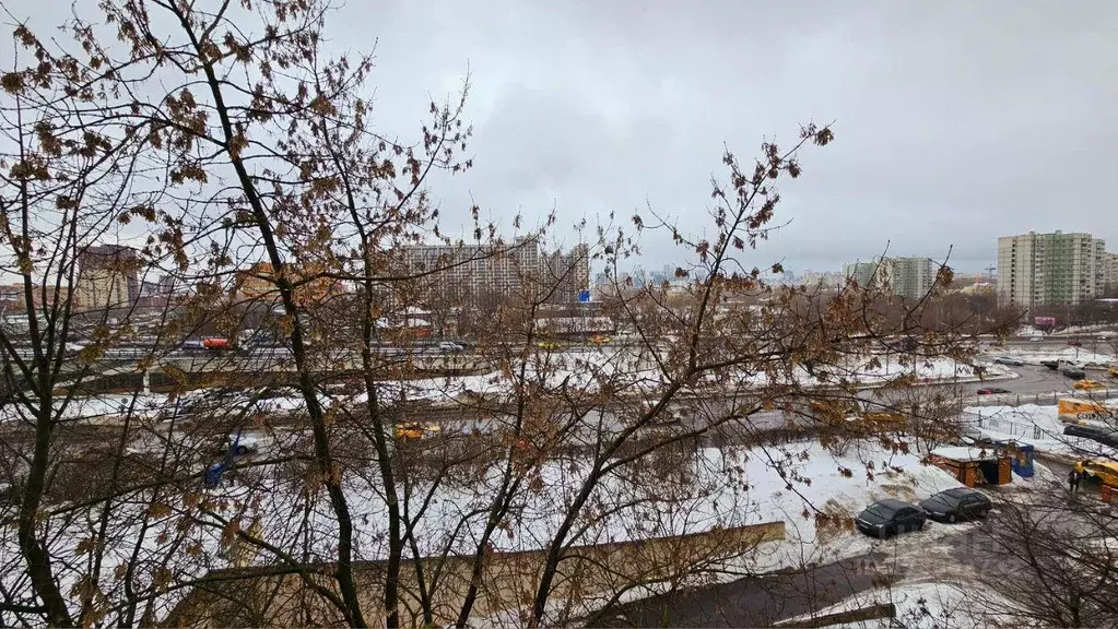 Квартира, студия, 18.6 м - Фото 1