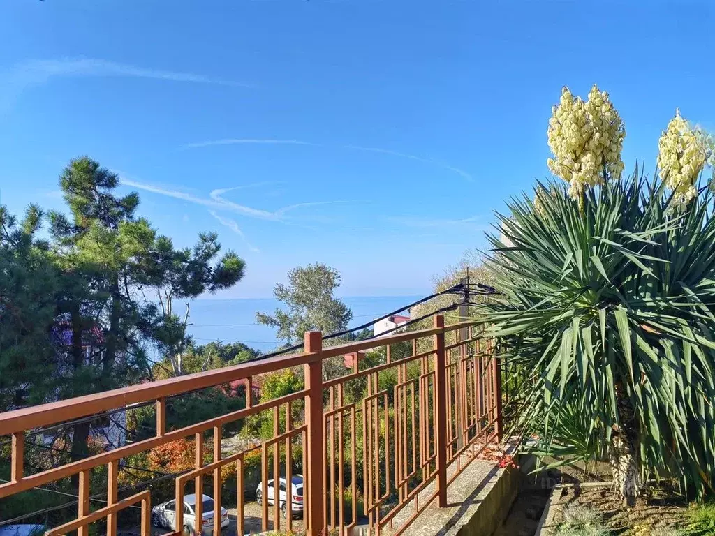 Студия Краснодарский край, Сочи Курортный просп., 100/8Б (40.0 м) - Фото 2