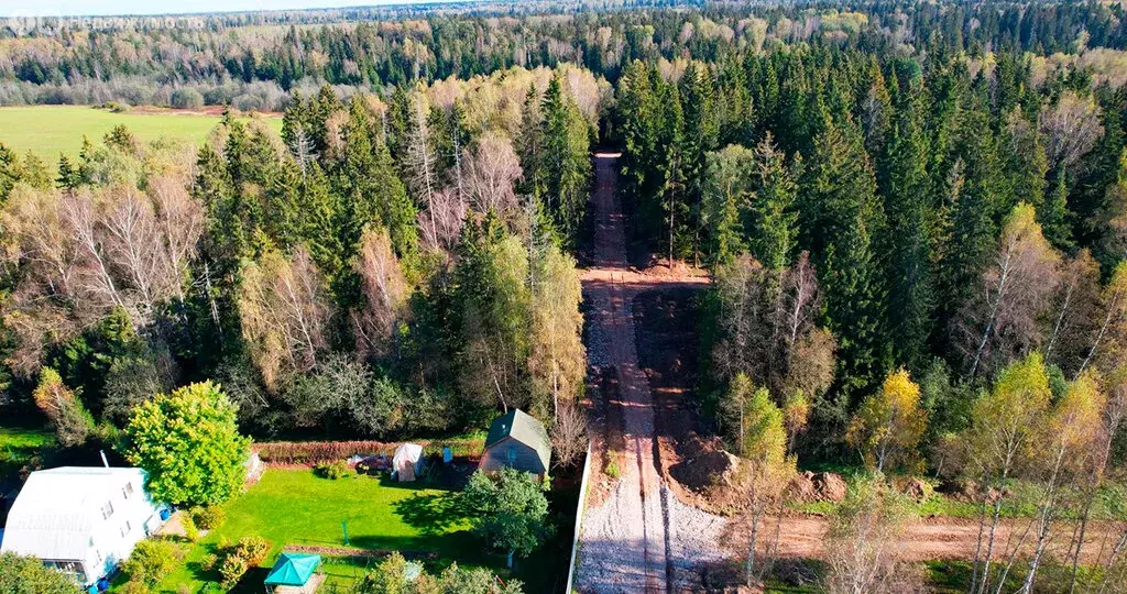 Участок в Одинцовский городской округ, КП Рига лес (6 м) - Фото 1