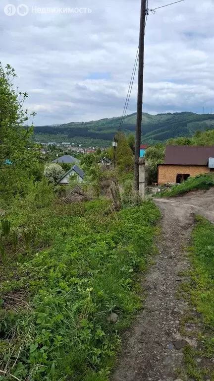 Участок в Горно-Алтайск, СНТ Рябинушка (4.5 м) - Фото 1