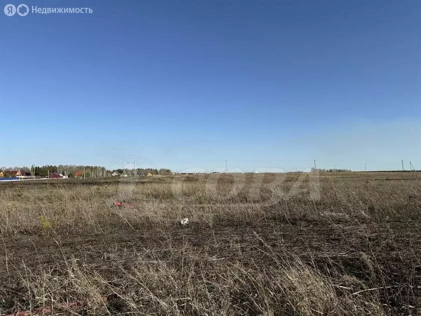 Участок в Тюменский район, деревня Насекина (12 м) - Фото 0