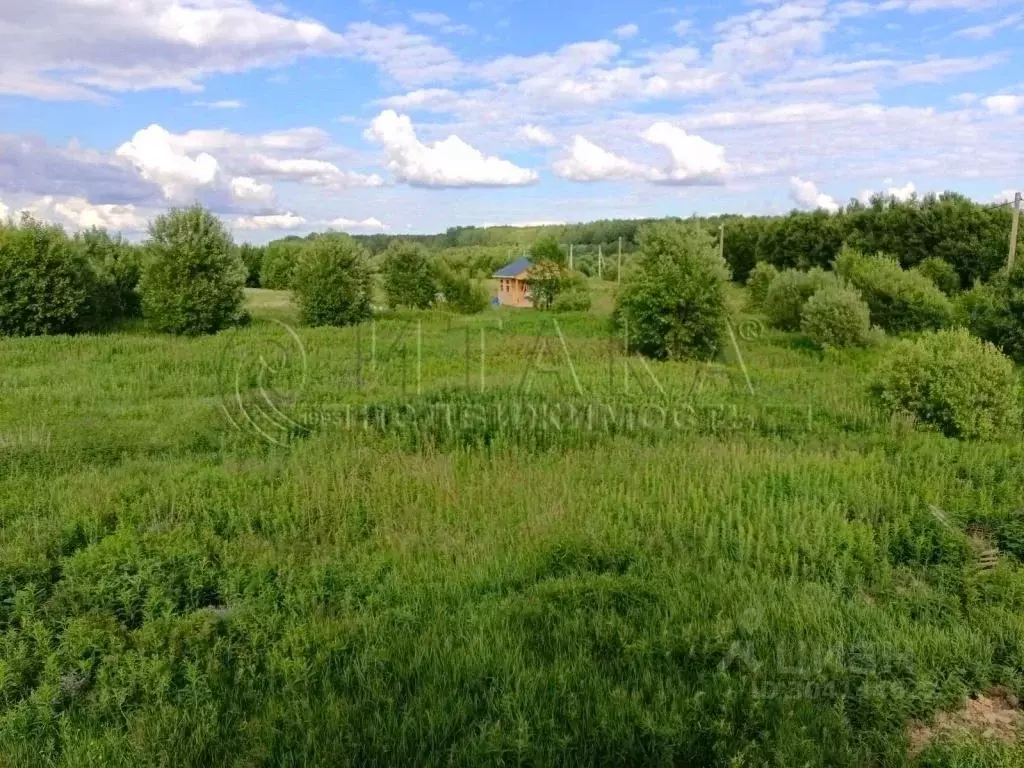 Участок в Ленинградская область, Тосненский район, Любанское городское ... - Фото 1