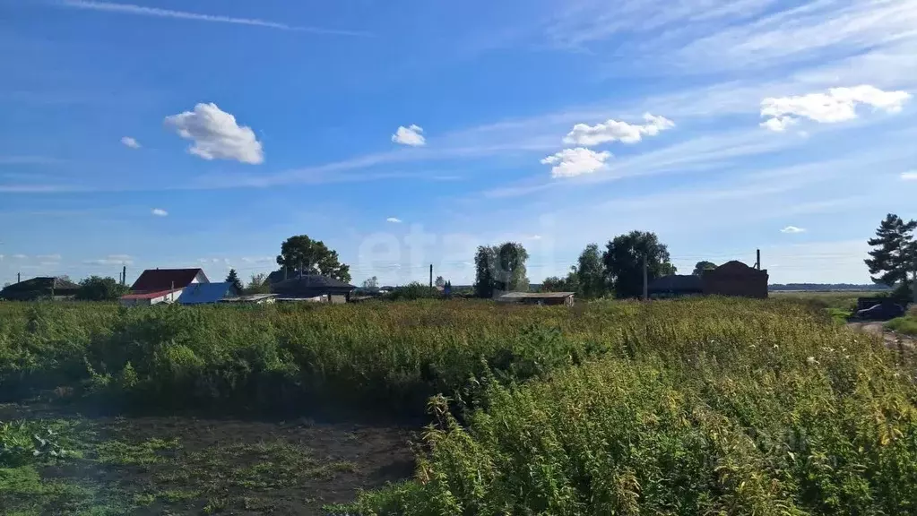 Участок в Тюменская область, Исетский муниципальный округ, д. Кукушки ... - Фото 1