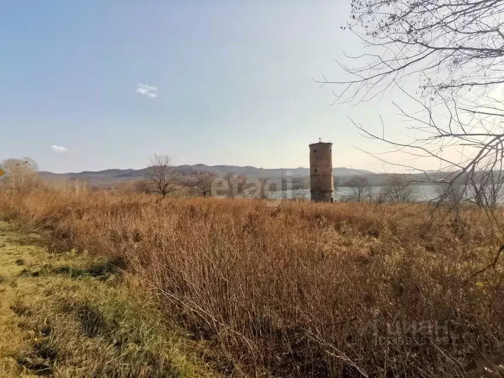 Участок в Приморский край, Артемовский городской округ, с. Суражевка ... - Фото 0