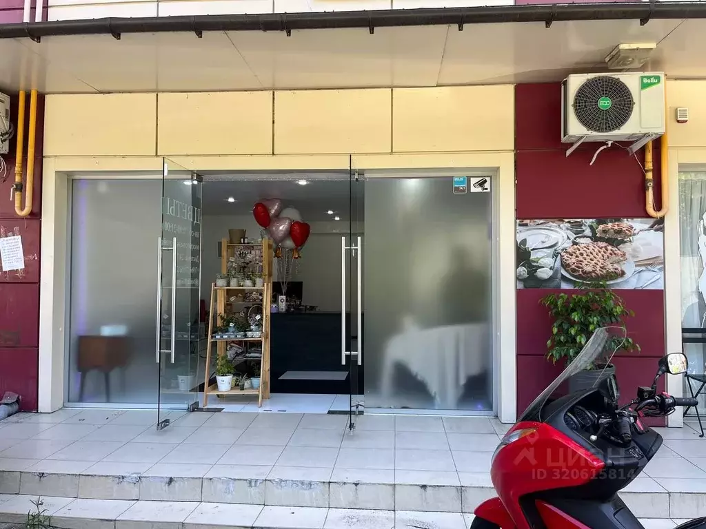 Помещение свободного назначения в Краснодарский край, Сочи Новый Сочи ... - Фото 1