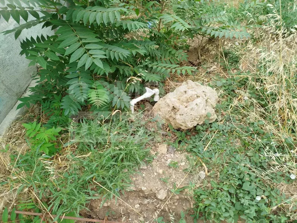 Участок в Севастополь ул. 4-я Равелинная, 18 (5.0 сот.) - Фото 2