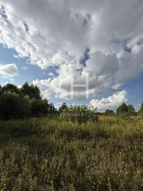 Участок в Владимирская область, Александровский муниципальный округ, ... - Фото 2