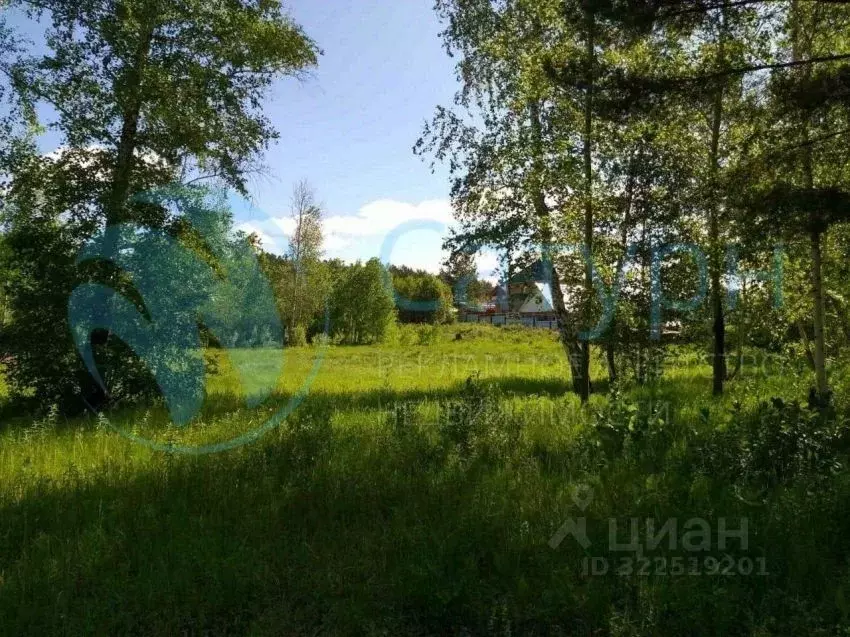 Участок в Курганская область, Кетовский муниципальный округ, с. ... - Фото 2
