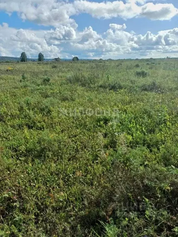 Участок в Томская область, Томский район, Стрижи СНТ ул. Магистральная ... - Фото 1