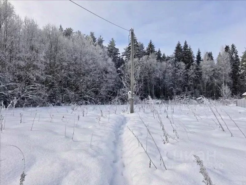Участок в Ленинградская область, Гатчинский муниципальный округ, д. ... - Фото 2