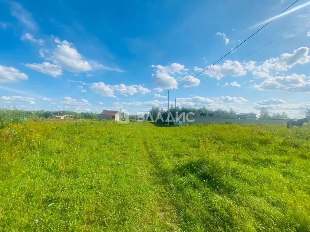 Участок в Владимирская область, Камешковский район, Пенкинское ... - Фото 2