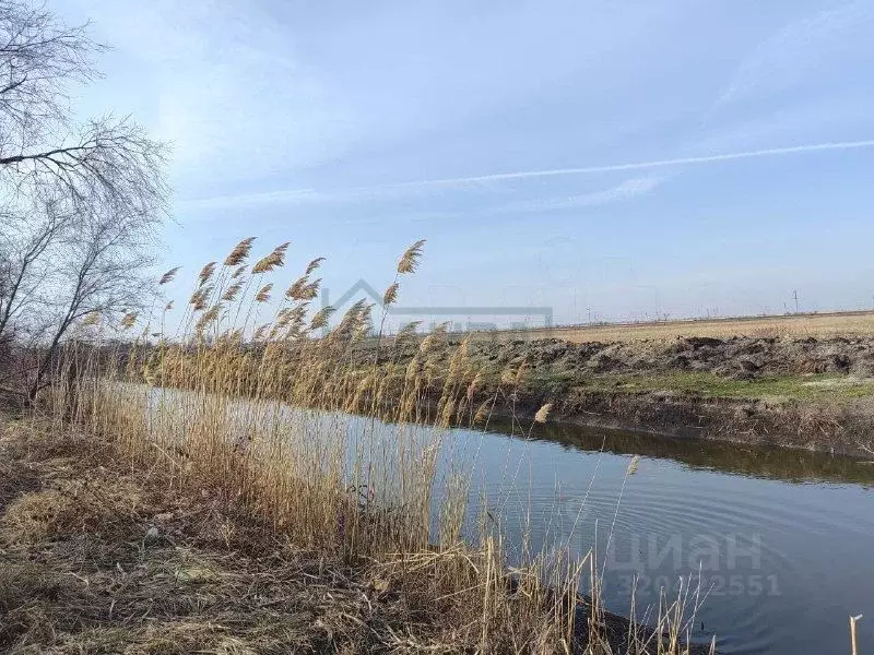 Участок в Ростовская область, Ростов-на-Дону Кумженское СНТ, ул. 2-я ... - Фото 0