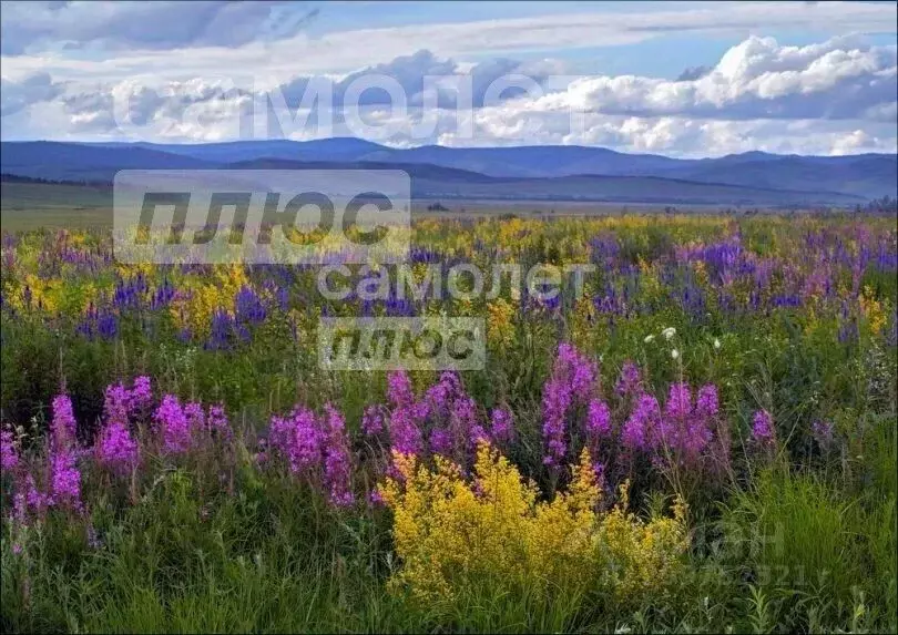 Участок в Забайкальский край, Читинский район, с. Верх-Чита  (8.0 ... - Фото 1