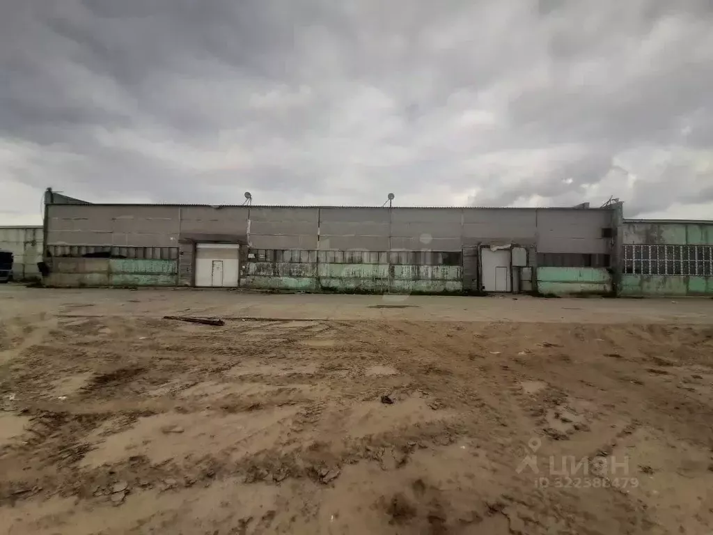 Склад в Ямало-Ненецкий АО, Новый Уренгой Таежная ул., 203/3 (1146 м) - Фото 1