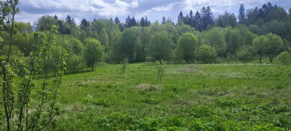 Участок в Московская область, Солнечногорск городской округ, д. Мостки ... - Фото 1