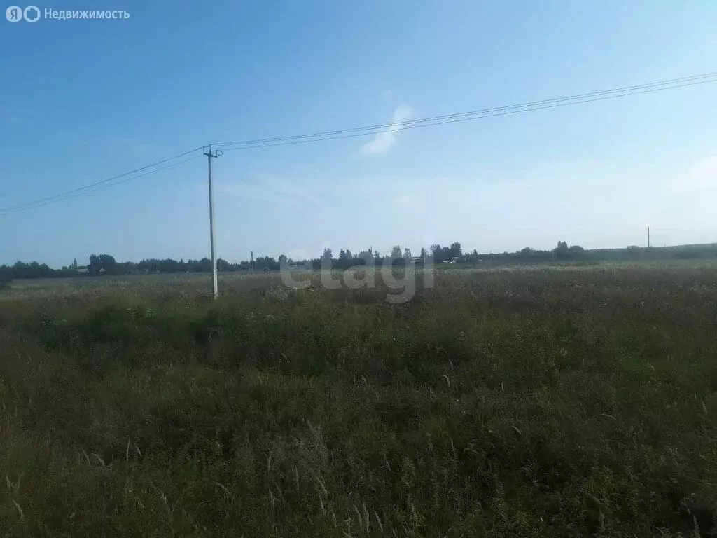 Участок в Ярославская область, Некрасовский муниципальный округ, ... - Фото 2