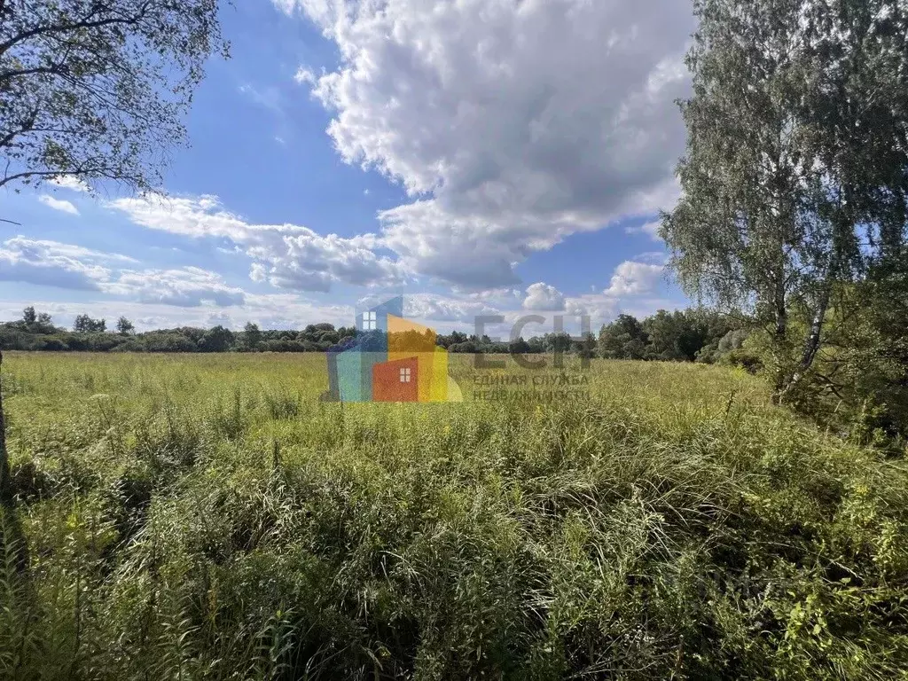 Участок в Тульская область, Ясногорский район, Теляковское с/пос, д. ... - Фото 2