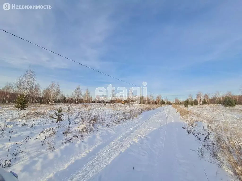 Участок в Челябинская область, Чебаркуль (22.45 м) - Фото 0