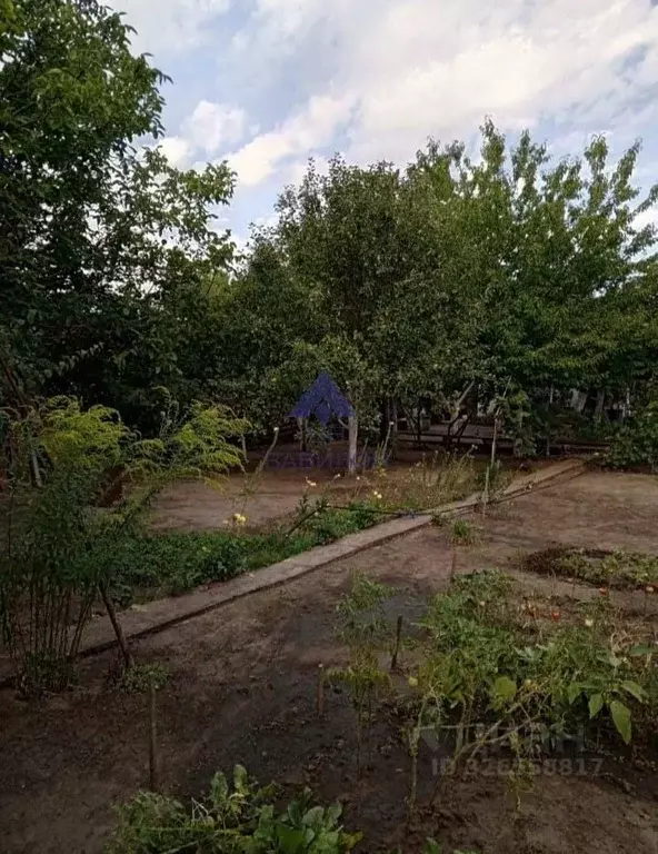 Дом в Ростовская область, Волгодонск В-Б кв-л,  (40 м) - Фото 2
