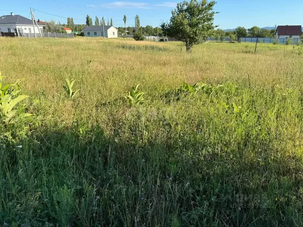 Участок в Краснодарский край, Новороссийск городской округ, ... - Фото 0