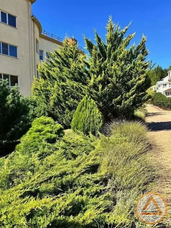 2-к кв. Краснодарский край, Туапсинский муниципальный округ, пос. ... - Фото 2