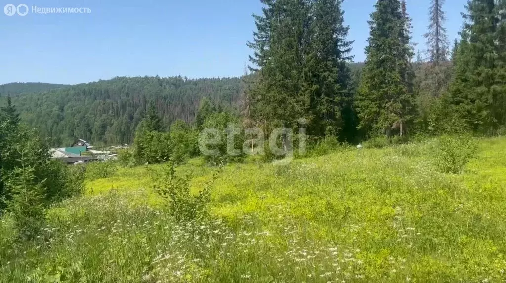 Участок в Златоуст, улица Алексея Толстого (10 м) - Фото 0