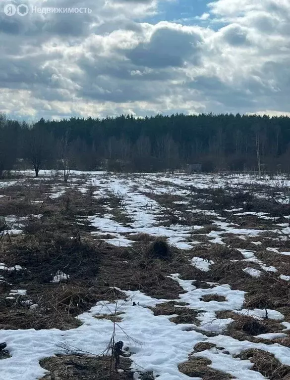Участок в Сергиево-Посадский городской округ, деревня Федорцово (6 м) - Фото 1